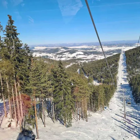 Twins View Zlatibor