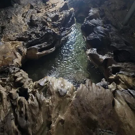 Twins View